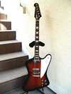 Gibson Firebird V 1999.jpg